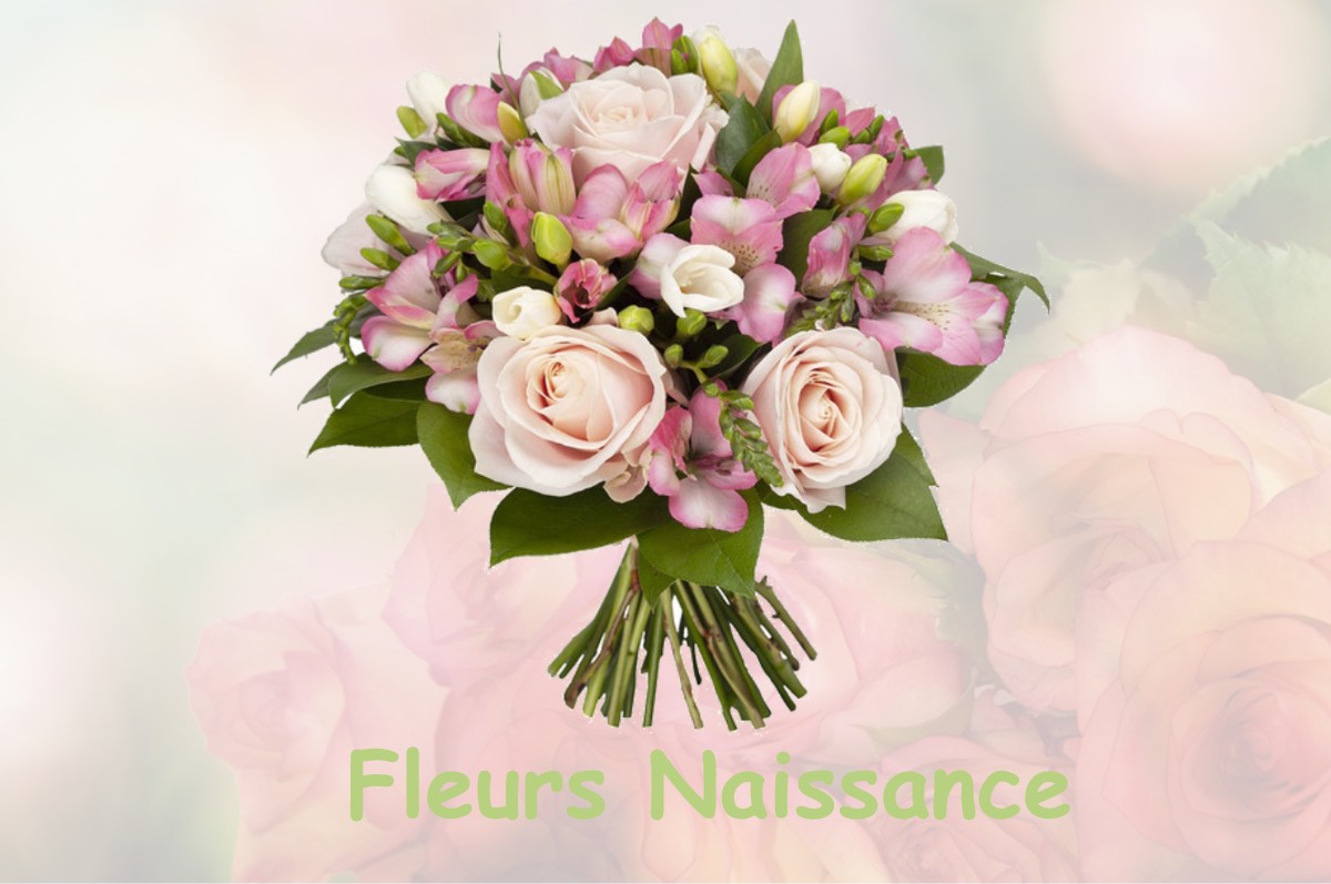 fleurs naissance SAINT-PIERRE-D-AUBEZIES